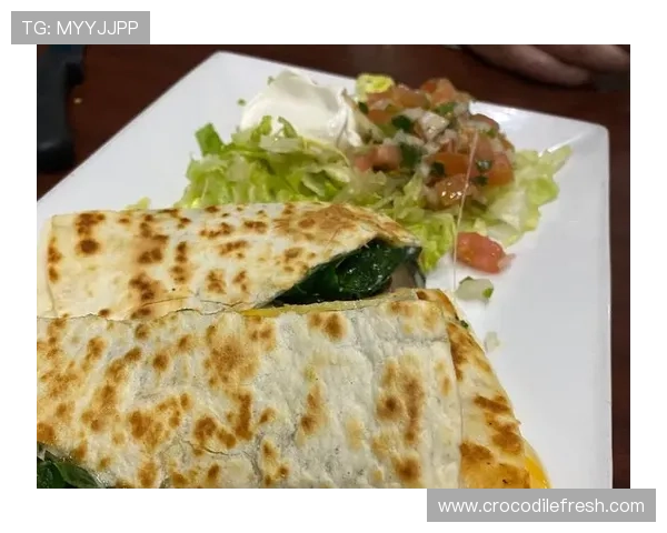 克罗地亚定亚历山德里亚为营地