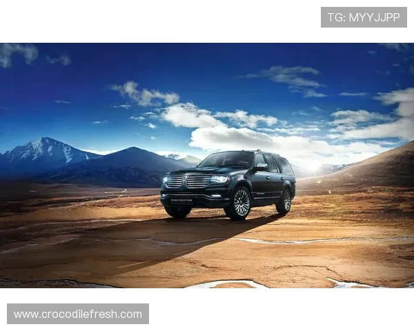 苗原透露林肯加盟武汉三镇在谈